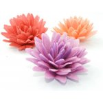 Dortisimo Dekorace z jedlého papíru Sedmikráska ponponková mix (12 ks) – Zboží Dáma