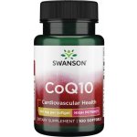 Swanson Co Q10 100 mg 100 softgelových kapslí – Hledejceny.cz