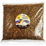 Apetit moučný červ 500 g – Zboží Mobilmania