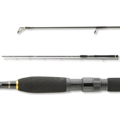 Daiwa Legalis Spin 2,4 m 10-30 g 2 díly – Sleviste.cz