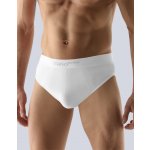 Gina 51003P pánské slipy bezešvé bílá – Sleviste.cz