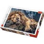 Androni Alltoys sada kuchyňského nádobí v boxu – Zbozi.Blesk.cz