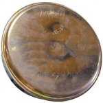 Antikoro Vilémov víčko kouřové 118 mm Cu 612421 – Zbozi.Blesk.cz