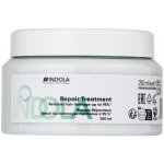 Indola Repair Treatment 250 ml – Hledejceny.cz