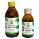 Salvia Paradise Gotu kola pupečník 120 kapslí