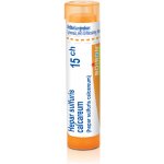 HEPAR SULFURIS CALCAREUM POR 15CH GRA 4G – Hledejceny.cz