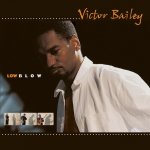 Bailey Victor - Low Blow CD – Zboží Mobilmania