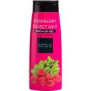 Gabriella Salvete Shower Gel Raspberry sprchový gel 250 ml