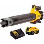 DeWalt 18 V XR DCMBL562P1 – Zboží Dáma