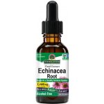 Nature´s answer Echinacea Třapatka 30 ml – Hledejceny.cz