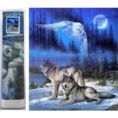 Norimpex Diamantové malování Divoký úplněk 30 x 40 cm – Sleviste.cz