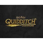 Harry Potter: Quidditch Champions – Sleviste.cz