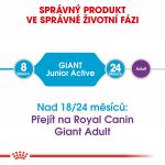 Royal Canin Giant Junior Active 15 kg – Hledejceny.cz