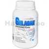 Vitamíny pro psa Gelacan Chondro Forte 0,15 kg