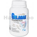 Gelacan Chondro Forte 0,15 kg – Hledejceny.cz