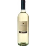 Lenotti Pinot Grigio Delle Venezie 12,5% 0,75 l (holá láhev) – Hledejceny.cz