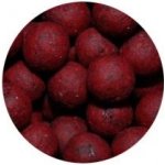 LK Baits boilies Euro Economic Spice Shrimp 5 kg 20 mm – Zboží Mobilmania