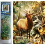 Norimpex Diamantové malování Volání lesa 30 x 40 cm – Zboží Mobilmania