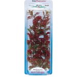 Tetra rostlina Red Ludwigia 23 cm – Zboží Mobilmania