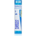 EUPATORIUM PERFOLIATUM POR 9CH GRA 1X4G – Hledejceny.cz