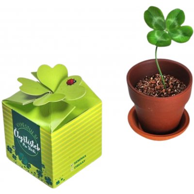 Divja Vypěstuj si čtyřlístek pro štěstí – Hledejceny.cz