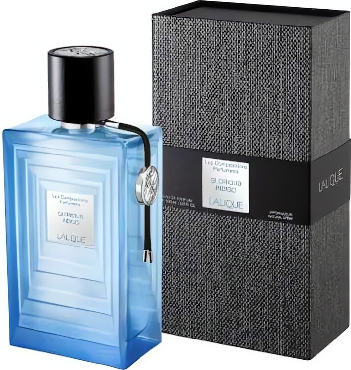 Lalique Les Compositions Parfumées Glorious Indigo parfémovaná voda unisex 100 ml