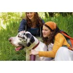 Frontpro 4 - 10 kg 28,3 mg 3 žvýkací tablety – Zboží Mobilmania