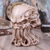 Sběratelská figurka Nemesis Now Cthulhu Skull Statue 20 cm