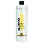 IV San Bernard banánový 500 ml – Hledejceny.cz