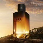 Giorgio Armani I Will parfémovaná voda pánská 30 ml – Hledejceny.cz