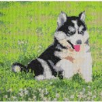 GRAFIX Diamantové malování Husky 40 x 50 cm – Zboží Mobilmania