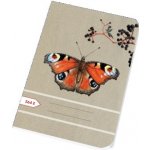 Papírny Brno Sešity školní ECONOMY A5 linka 564 – Hledejceny.cz