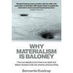 Why Materialism is Baloney – Hledejceny.cz