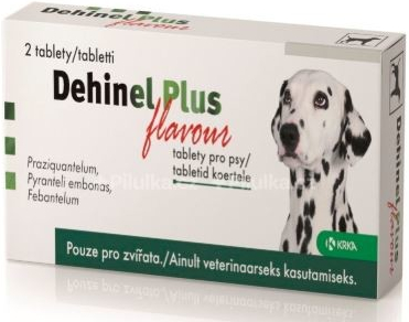 Dehinel Plus Flavour 100 tbl