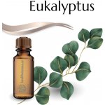 Slow-Natur Essential vonný olej Eukalyptus 10 ml – Zbozi.Blesk.cz