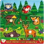 Teddies vkládačka Moje první lesní zvířátka 6 ks – Hledejceny.cz