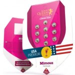 Royal Queen Seeds Mimosa semena neobsahují THC 10 ks – Zboží Dáma