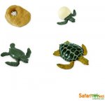 Safari Životní cyklus Mořská želva – Zboží Dáma