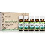 Saloos Domácí aroma lékárnička vonné oleje 5 x 10 ml – Hledejceny.cz