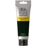 Akrylová barva Winsor & Newton Galeria 120 ml Olive Green – Hledejceny.cz