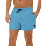 Quiksilver Everyday Volley 15 Blithe – Hledejceny.cz