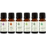 Plant Therapy Breathe Easy set esenciálních olejů pro snadné dýchání 6 x 10 ml – Hledejceny.cz