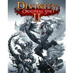 Divinity: Original Sin 2 – Zboží Dáma