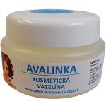 Amoené Avalinka čistá lékařská kosmetická vazelína bez parfemace 100 ml – Zbozi.Blesk.cz