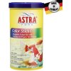 Astra Color Sticks 1 l