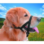 Nobby Ohlávka nylon Easy Leader vel. 4 - rotvajler doga – Zbozi.Blesk.cz