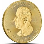 Royal Canadian Mint Maple Leaf zlatá mince 50 CAD stand 1 oz – Zboží Dáma