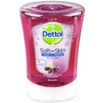 Dettol 250ml lesní plody – Zbozi.Blesk.cz