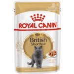 Royal Canin British Shorhair 85 g – Zboží Mobilmania