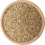 Dobrio Pšenice BIO na váhu 1 kg – Sleviste.cz